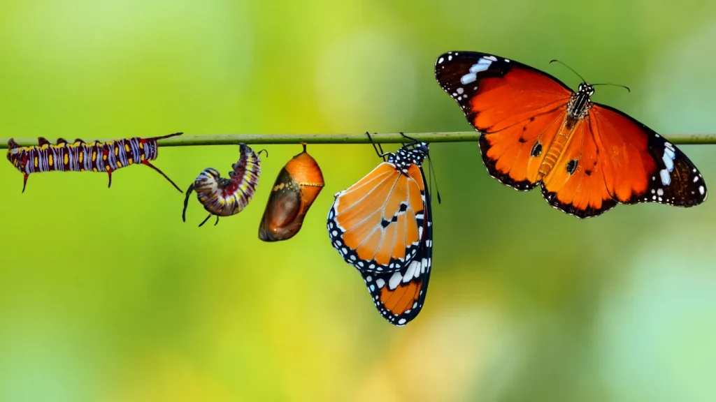 Guía gratuita de coaching profesional: cómo superar bloqueos, ganar claridad y dar el salto en tu carrera o negocio.